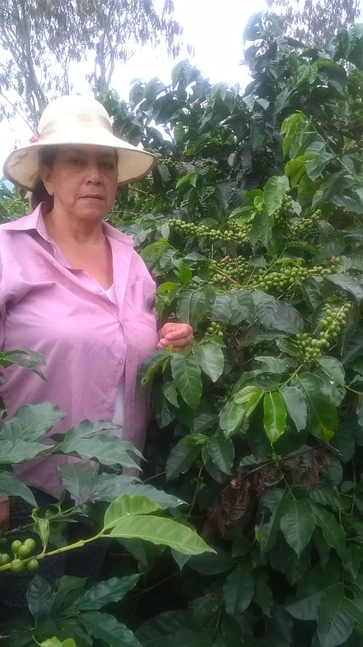 testimonio fertilizacion con cafeoccidente