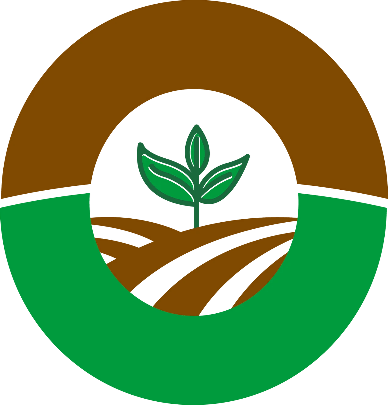 Ortega