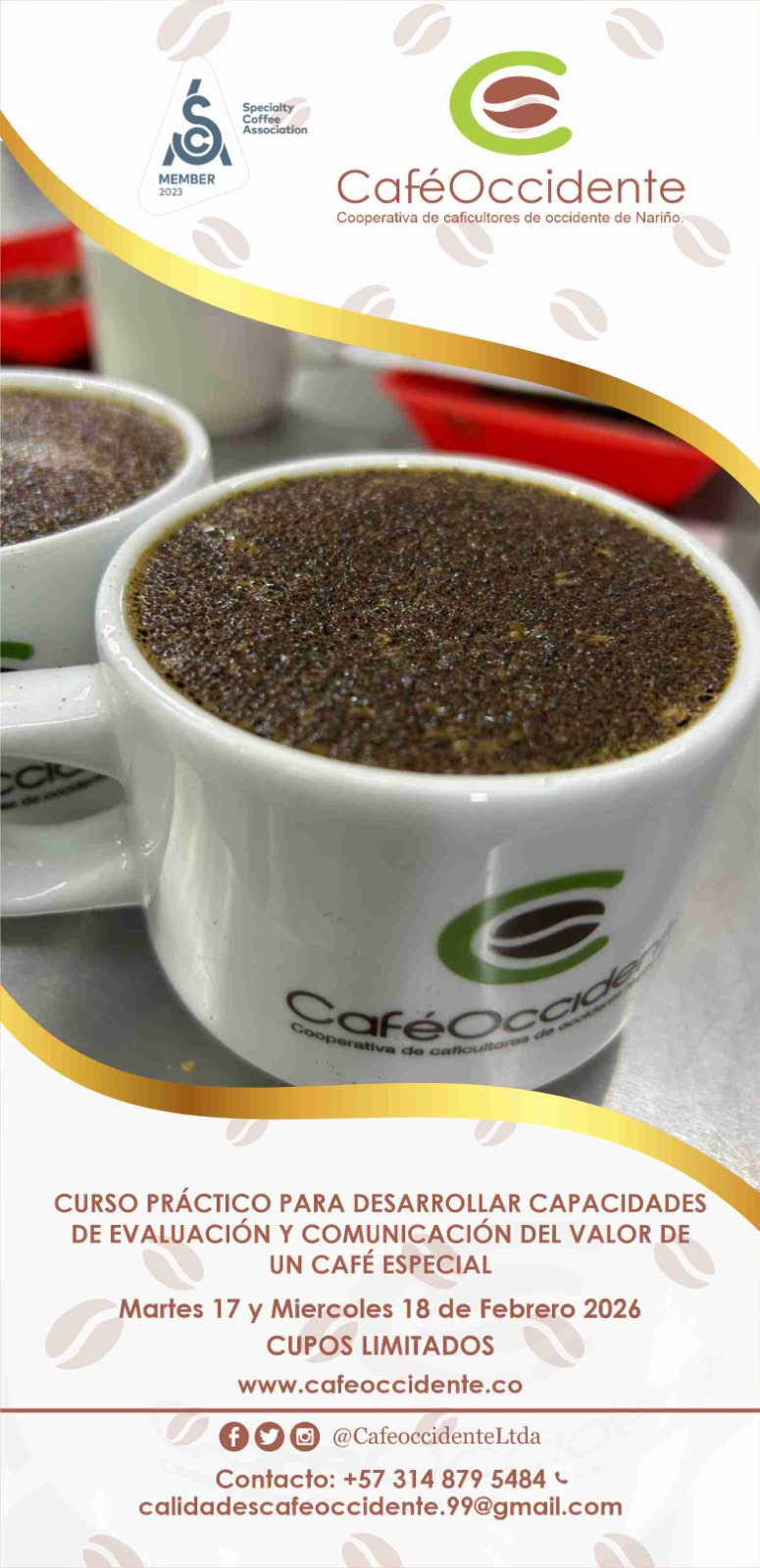 CURSO PRACTICO VALOR CAFES ESPECIALES